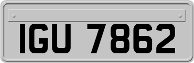 IGU7862