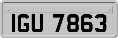 IGU7863