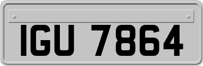 IGU7864