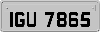 IGU7865