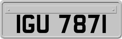 IGU7871