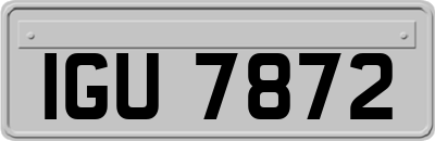 IGU7872