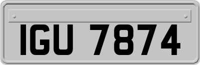 IGU7874