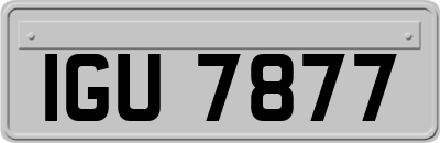 IGU7877