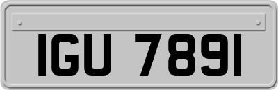 IGU7891