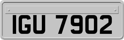 IGU7902