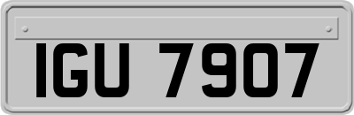IGU7907