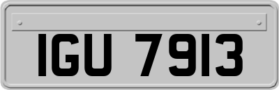 IGU7913