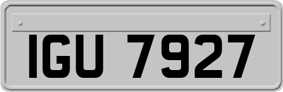 IGU7927