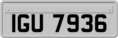 IGU7936