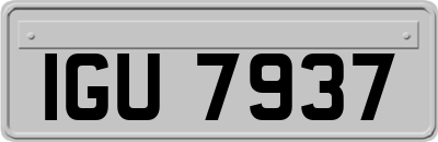 IGU7937