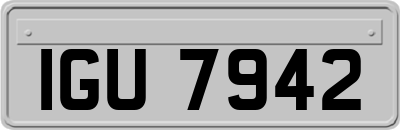 IGU7942