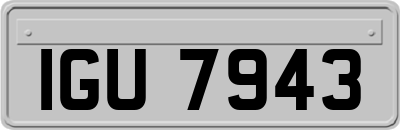IGU7943