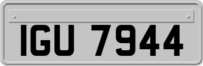 IGU7944