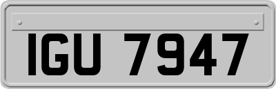 IGU7947