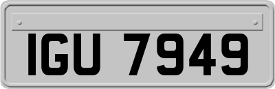 IGU7949