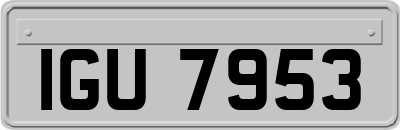 IGU7953
