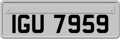 IGU7959