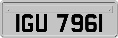 IGU7961