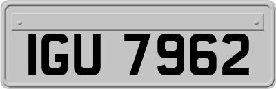 IGU7962