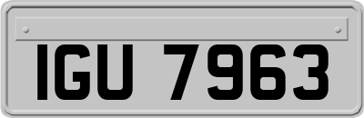 IGU7963