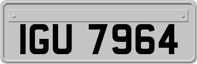 IGU7964