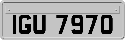 IGU7970