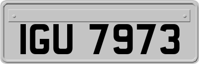 IGU7973