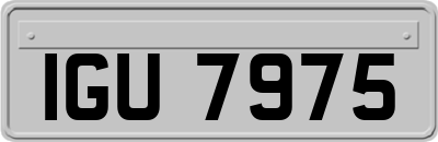 IGU7975