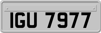 IGU7977