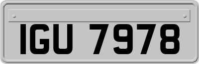 IGU7978