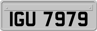 IGU7979