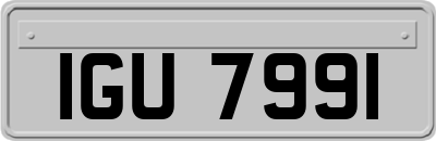 IGU7991