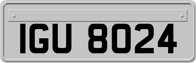 IGU8024