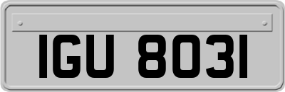 IGU8031