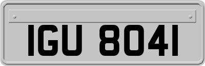 IGU8041