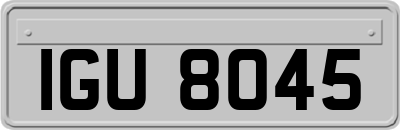 IGU8045