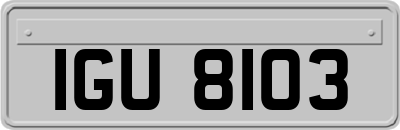 IGU8103