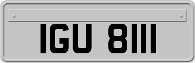 IGU8111
