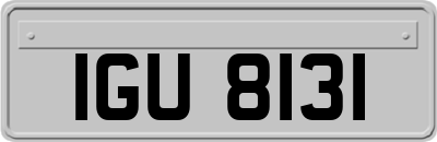 IGU8131