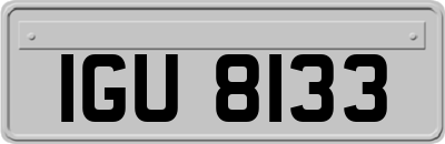 IGU8133