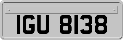 IGU8138