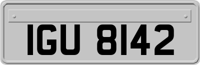 IGU8142