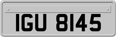 IGU8145