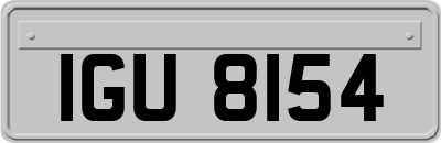 IGU8154