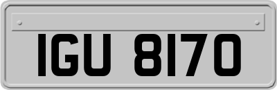 IGU8170