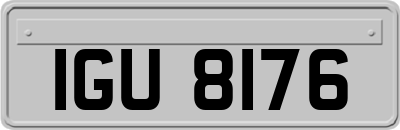 IGU8176
