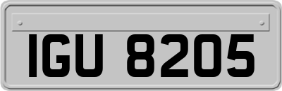 IGU8205