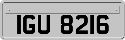 IGU8216