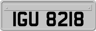 IGU8218